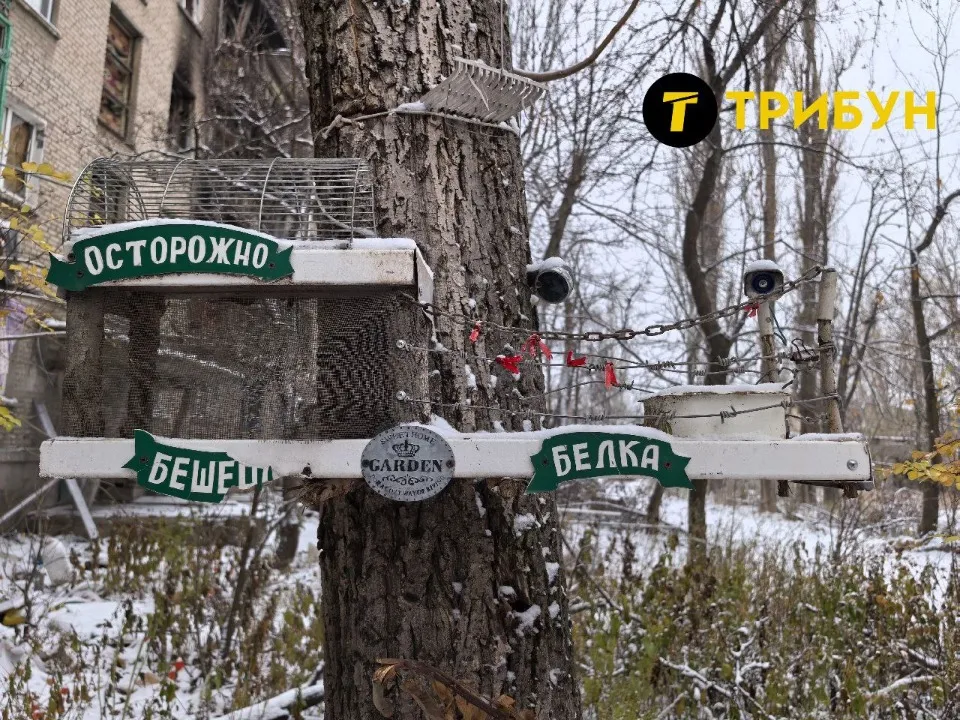 Авдіївка, грудень 2024