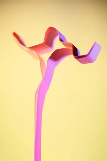 Олексадр Плаксін