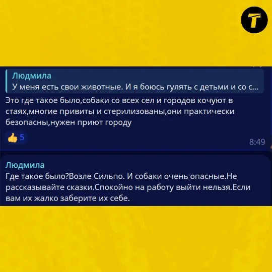 інформація про безпритульних собак у Сіверськодонецьку