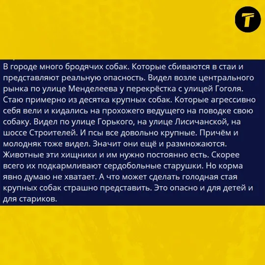 інформація про безпритульних собак у Сіверськодонецьку