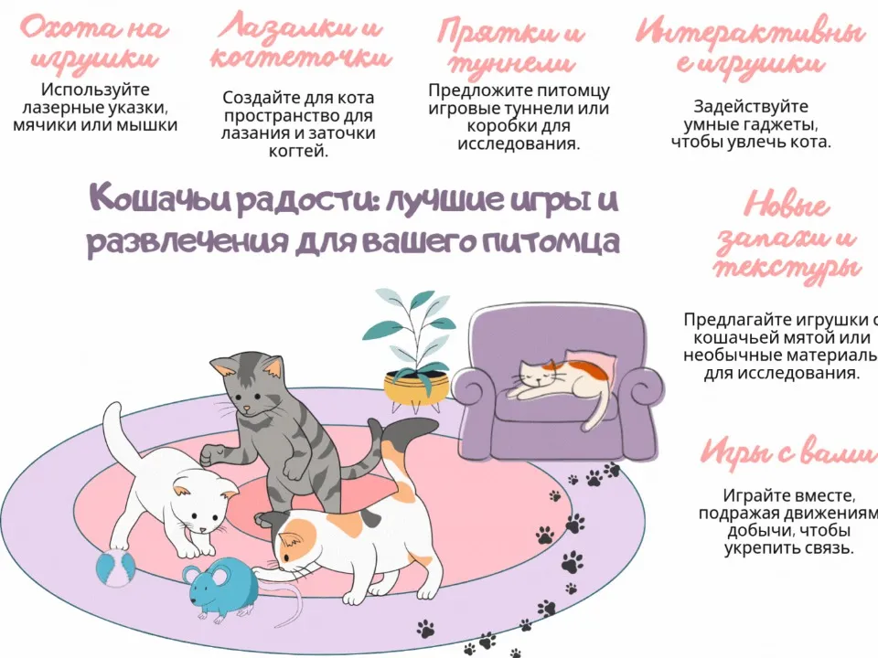 развлечения для кота