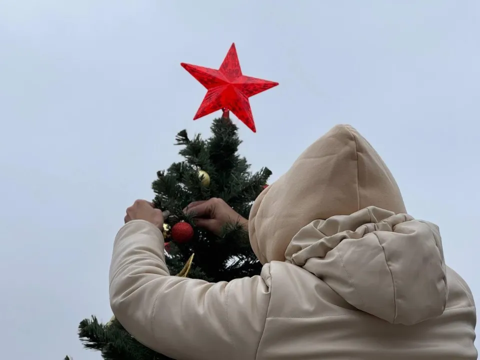 Ялинка. Первомайськ