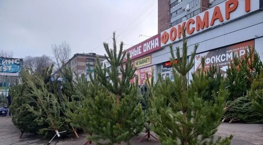 Ялинки в окупації. ціни