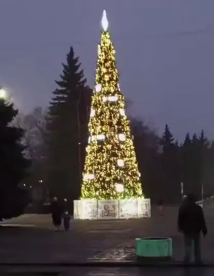 Ялинка. Макіївка