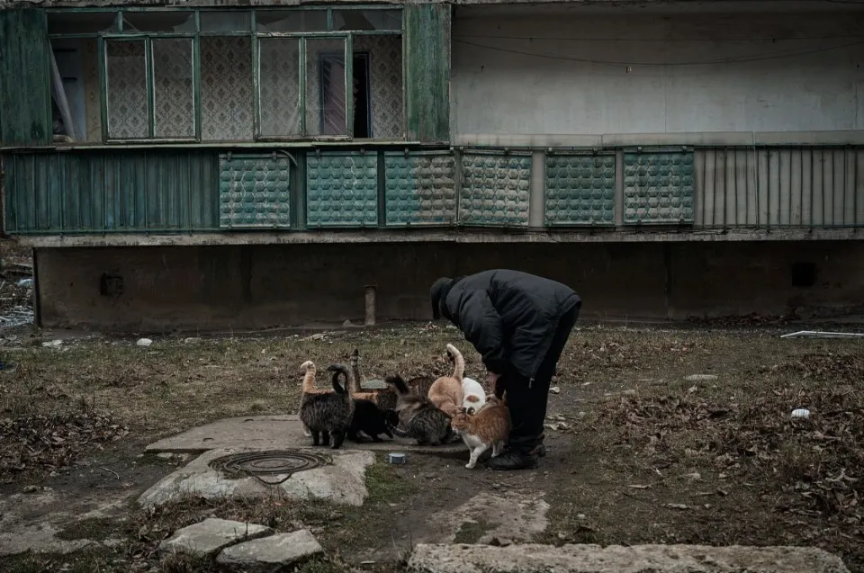 Покровськ, Донецька область