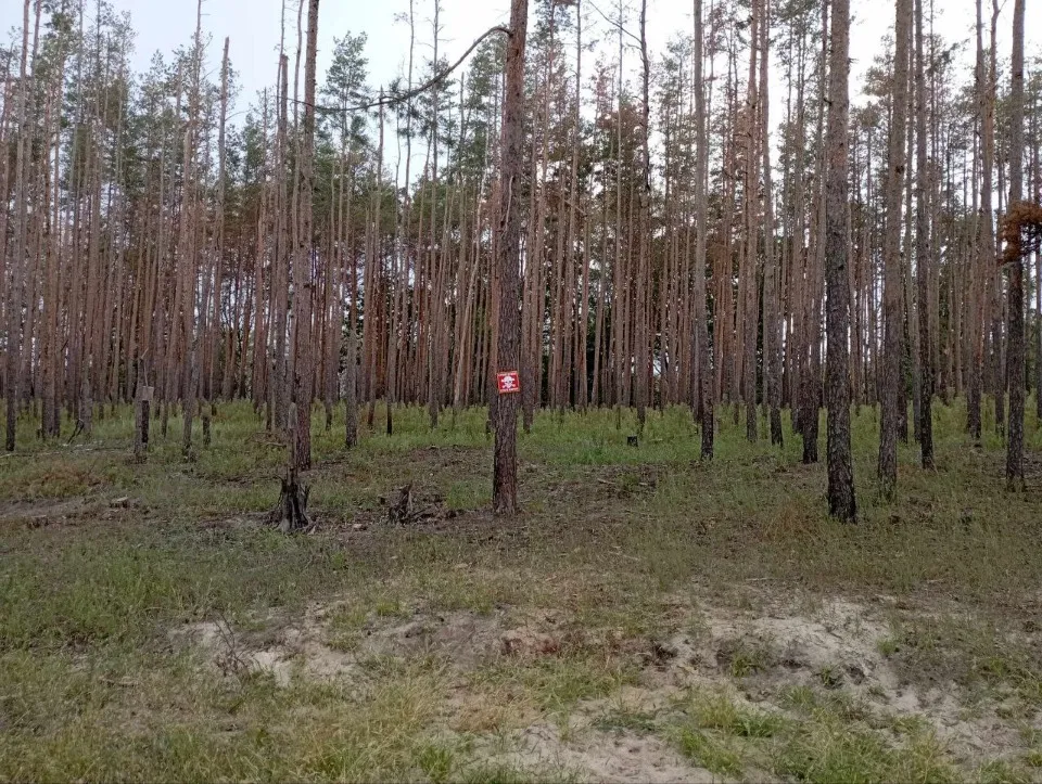 лісові пожежі на Донеччині