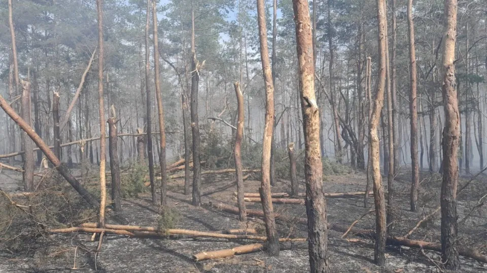 лісові пожежі на Донеччині