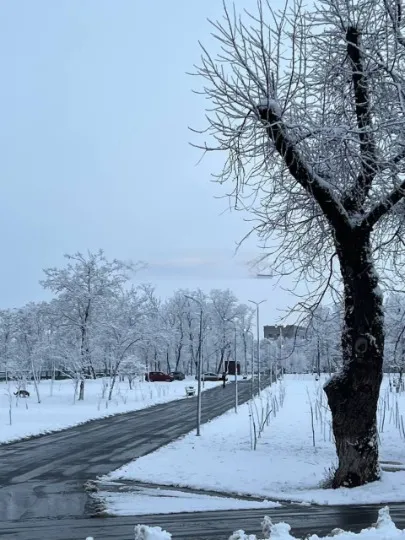 Маріуполь сніг