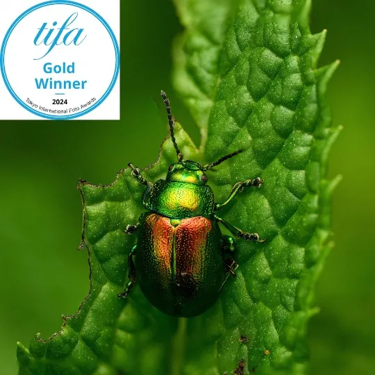 Олександр Плаксін. 