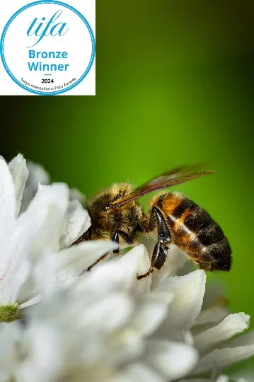 Олександр Плаксін. 