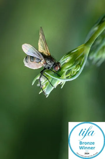 Олександр Плаксін. 