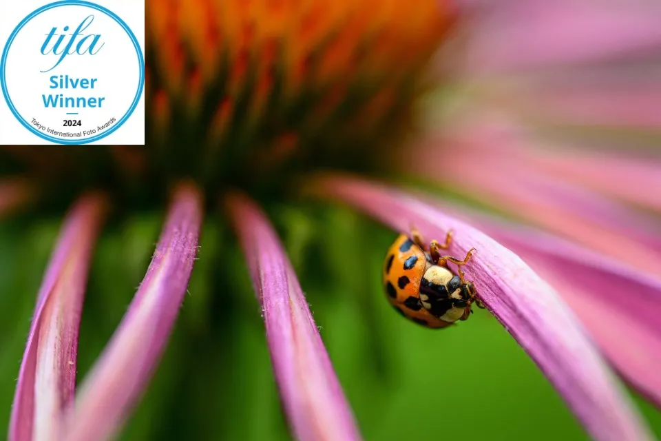 Олександр Плаксін. 