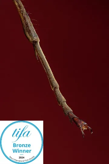 Олександр Плаксін. 