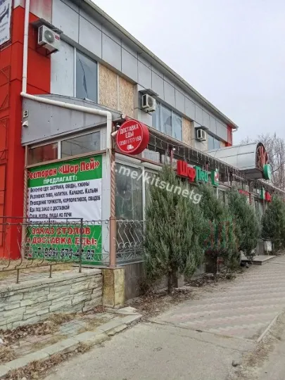 У місті продають “Шарпей” за 47 млн рублів.