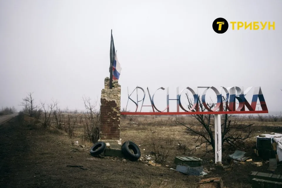 Красногорівка, Донецька область