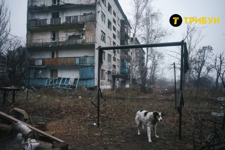 Красногорівка, Донецька область