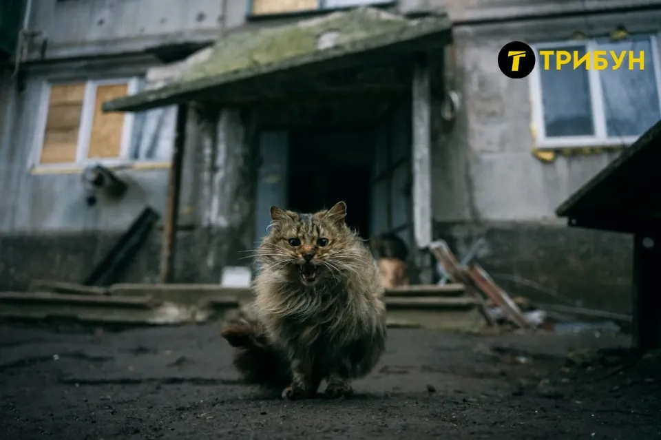 Красногорівка, Донецька область