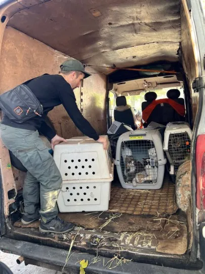 Подальша евакуація тварин з Торецька до безпечних місць
