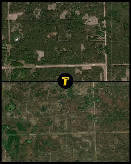 фото наслідків обстрілів, Серебрянський ліс