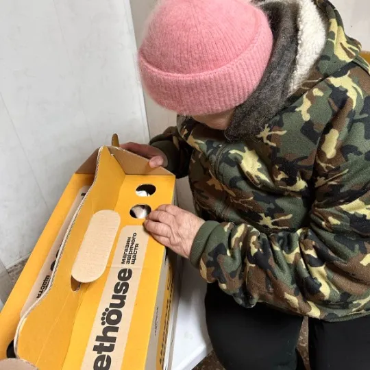 евакуація з тваринами