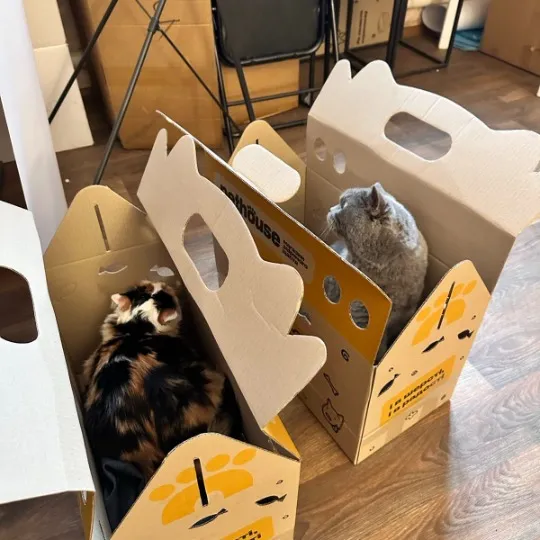 евакуація з тваринами