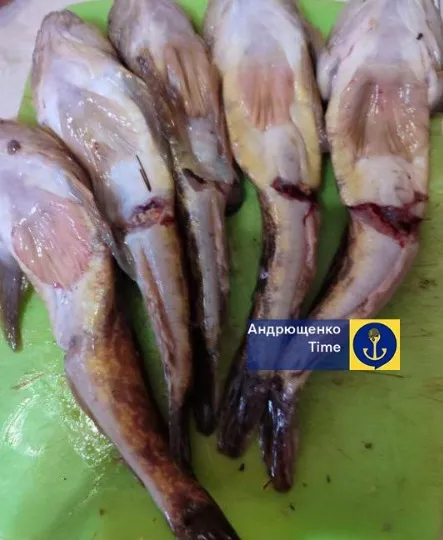 Риба в Маріуполі