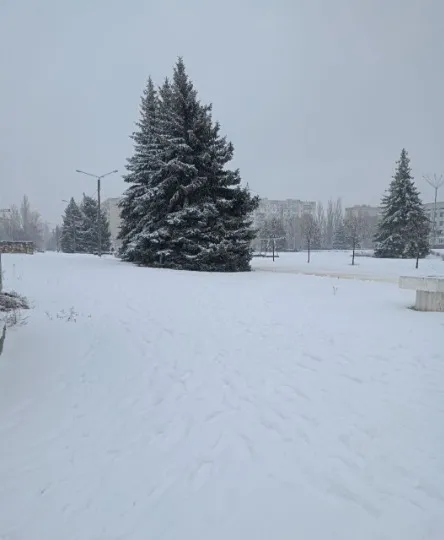 Рубіжне, пр. Переможців