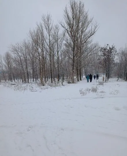 Рубіжне, вул. Миру