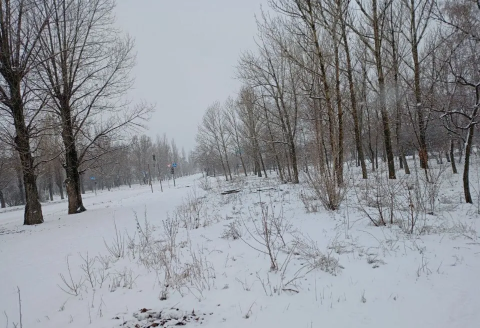 Рубіжне, вул. Миру