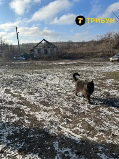 Райгородка Сватівщина Луганщина лютий 2025