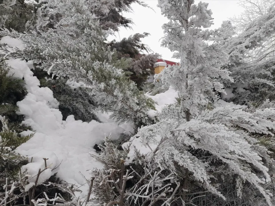 Сватове сніг