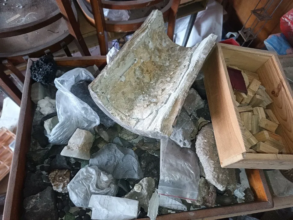 Селидове, Селидівський гірничий технікум