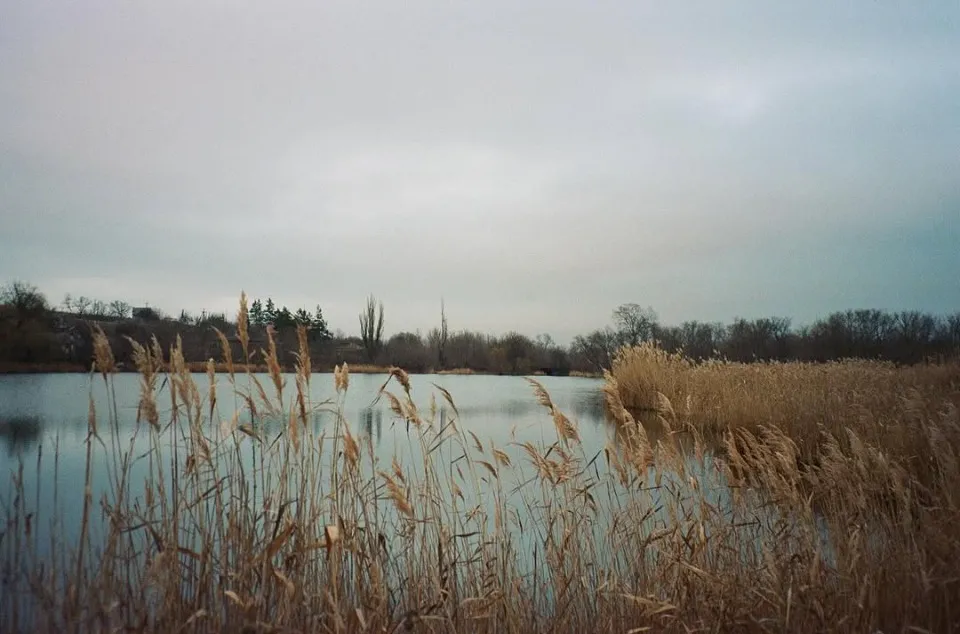 Костянтинівка Донецької області