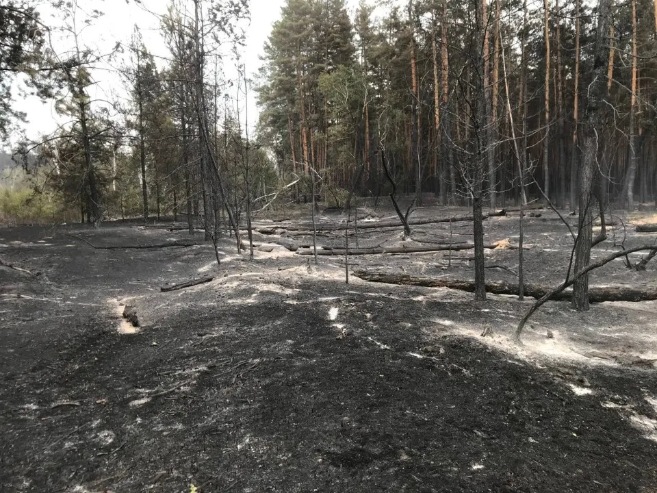 Масштабні пожежі в Сіверськодонецькому районі в 2020 році