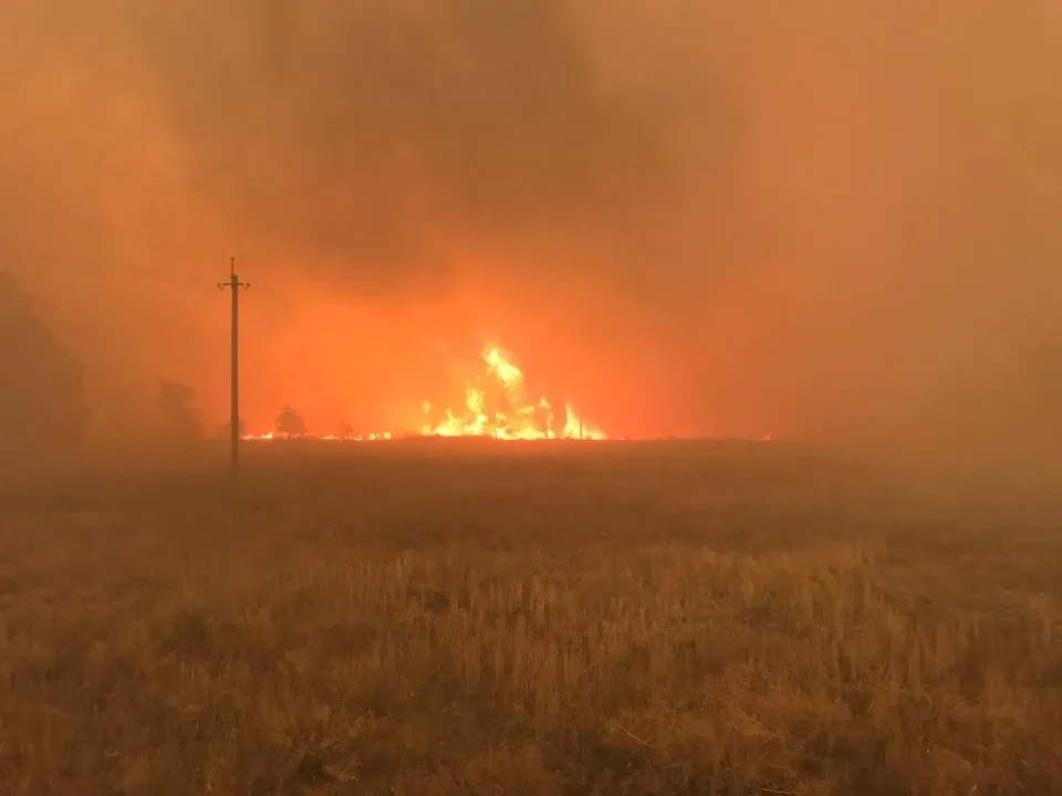 Масштабні пожежі в Сіверськодонецькому районі в 2020 році