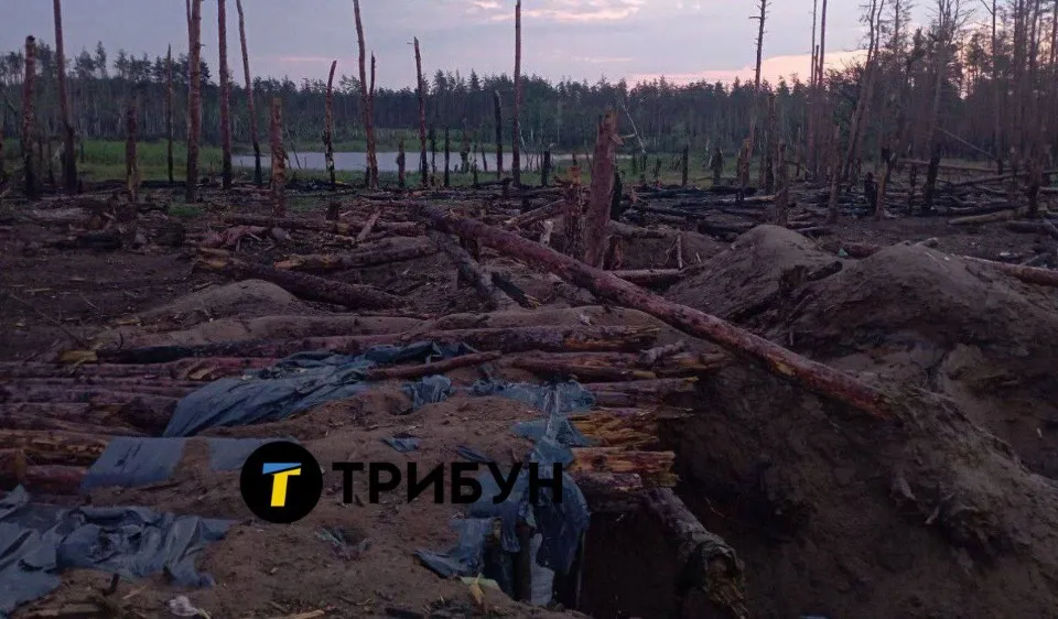 Кремінські ліси