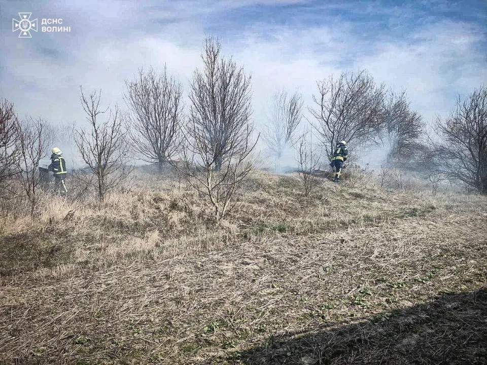 пожежа на Волині дим вогонь рятувальники дснс