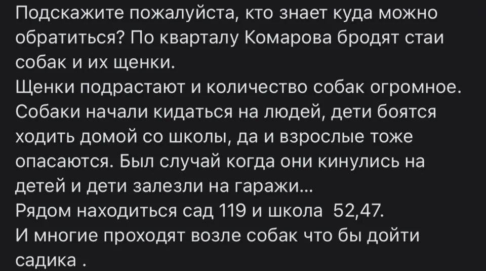 безпритульні собаки в луганську